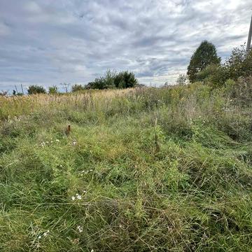 Страдч, Яворівський, Львівська область 15400.0 USD