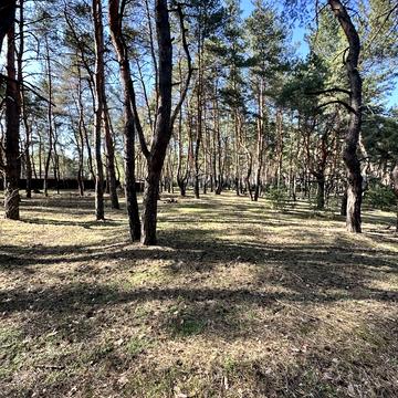 Обухівка, Дніпровський, Дніпропетровська область 84600.0 USD