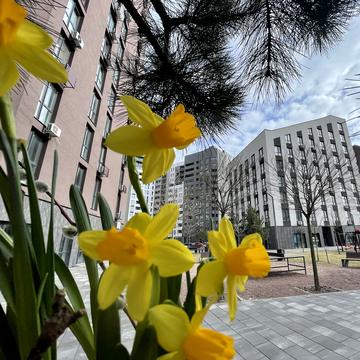 Панорамна вул., 2