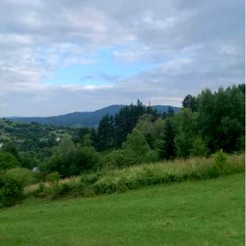 Старий Самбір, Самбірський, Львівська область 24500.0 USD