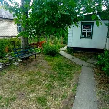 Марії Приймаченко, 75