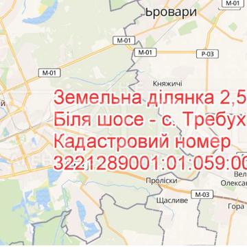 Требухів, Броварський, Київська область 125000.0 USD