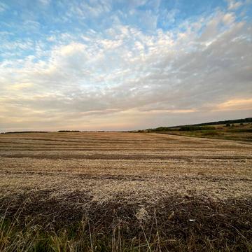 Боголюби, Луцький, Волинська область 100000.0 USD