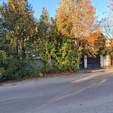 Прорізна, 20