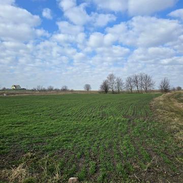 Великий Кучурів, Чернівецький, Чернівецька область 14000.0 USD