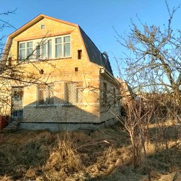 СТ Зелений бір