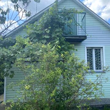 Лісова Пісня