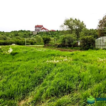 Гайдея пров.