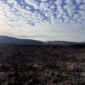 Жовківська вул., 45