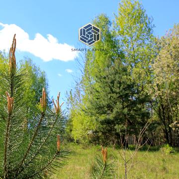 Горбовичі, Бучанський, Київська область 34000.0 USD
