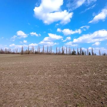 неподалік КМ Барселона