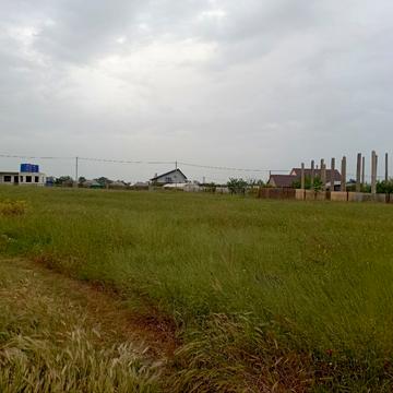 Виноградная