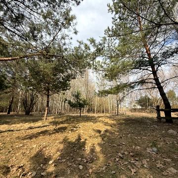 Бірки, Дубенський, Рівненська область 15000.0 USD