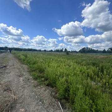 Рокач, Буча, Бучанський, Київська область 700000.0 USD