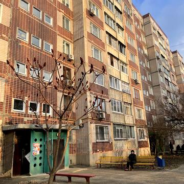 Ньютона вул., 125/2