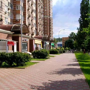 Голосіївська вул., 13