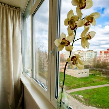 Ігоря Дорошенка вул. (Ціолковського), 37