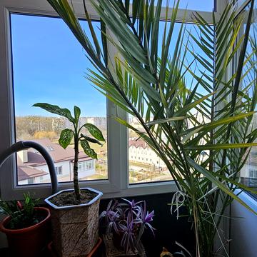 Володимира Івасюка вул., 50в