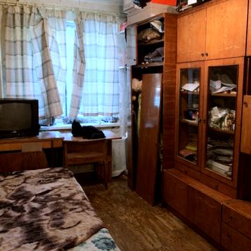 Байрона просп., 146