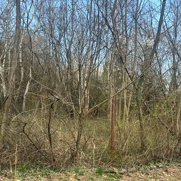 Нижнє Солотвино, Ужгородський, Закарпатська область 5000.0 USD