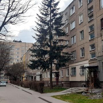 Володимира Великого вул. (Артема), 101