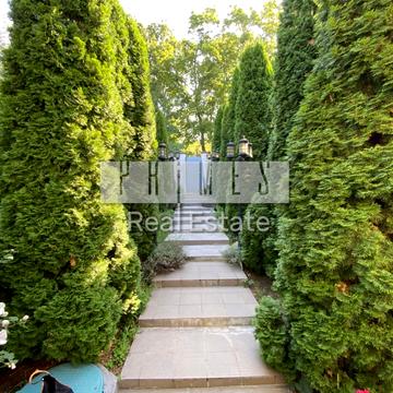 Ольвійський пров. (Холмогорський)