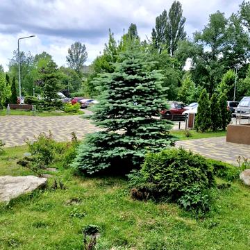 Віталія Скакуна вул. (Академіка Каблукова), 23