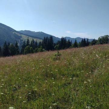 Верховина, Верховинський, Івано-Франківська область 4800.0 USD