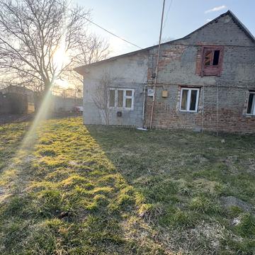 Зелена