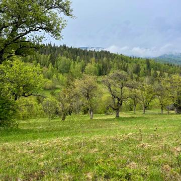 Верхня Рожанка, Стрийський, Львівська область 219000.0 USD