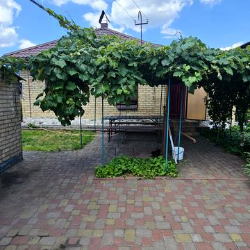 Гагаріна, 25