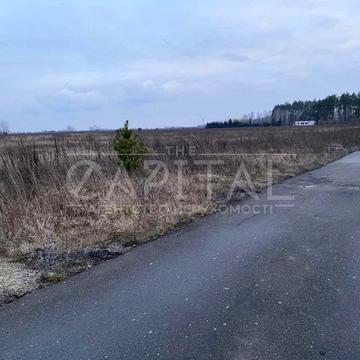 Березівка, Бучанський, Київська область 280000.0 USD