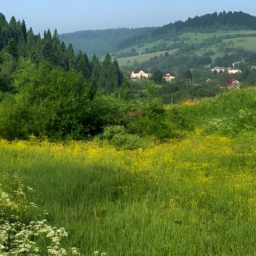 Явора, Самбірський, Львівська область 13500.0 USD