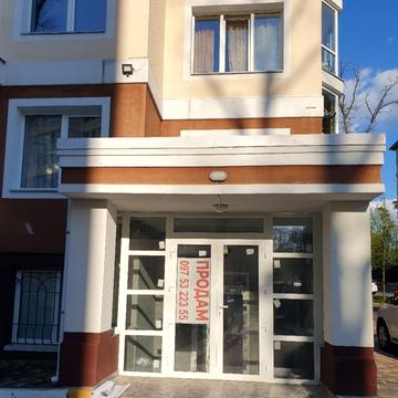 Академіка Ромоданова вул. (Льва Толстого), 50-Б