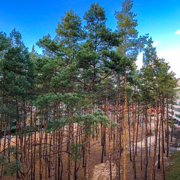 Богдана Ступки пров., 3