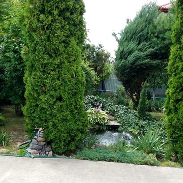 Висоцького вул., 84