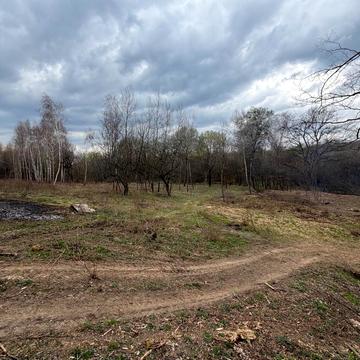 Гута, Ужгородський, Закарпатська область 85000.0 USD