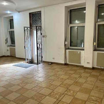 Володимира Антоновича вул. (), 22