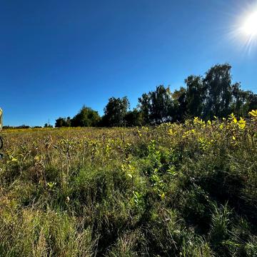 Горбовичі, Бучанський, Київська область 50000.0 USD