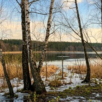 Забіря, Фастівський, Київська область 220000.0 USD