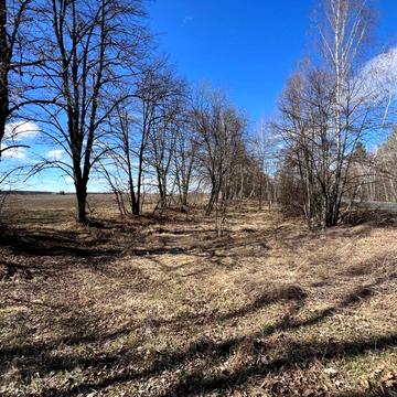 Гостомель, Бучанський, Київська область 11000.0 USD