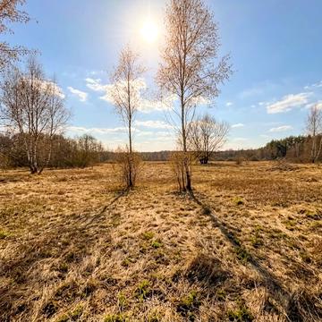 Козинці, Бучанський, Київська область 4500.0 USD