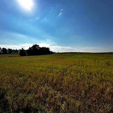 Забіря, Фастівський, Київська область 220000.0 USD