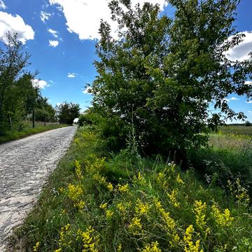 Озеро, Гостомель, Бучанський, Київська область 150000.0 EUR