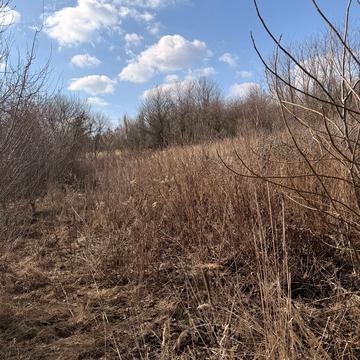 3-й проїзд Світлий