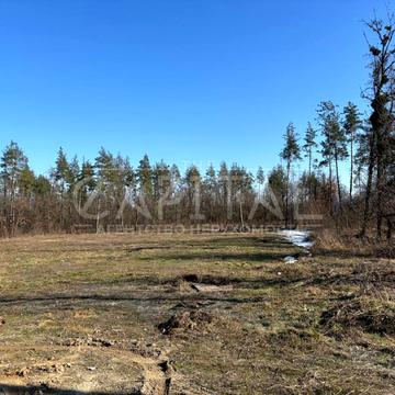 Іванковичі, Обухівський, Київська область 265000.0 USD