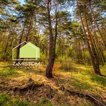 Гагаріна, 12