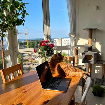 Володимира Великого вул. (Гагаріна), 41/1