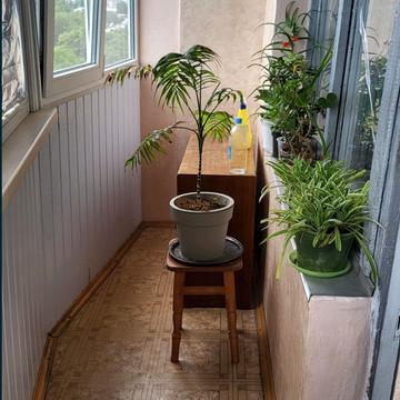 Сергія Берегового вул. (Мартиросяна), 2/6