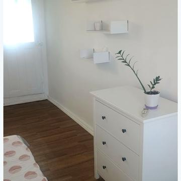 Сергія Шелухіна вул. (Олександра Невського), 20